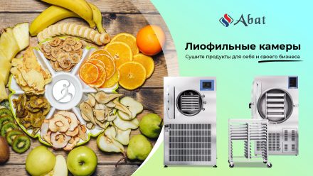 Лиофильные камеры
